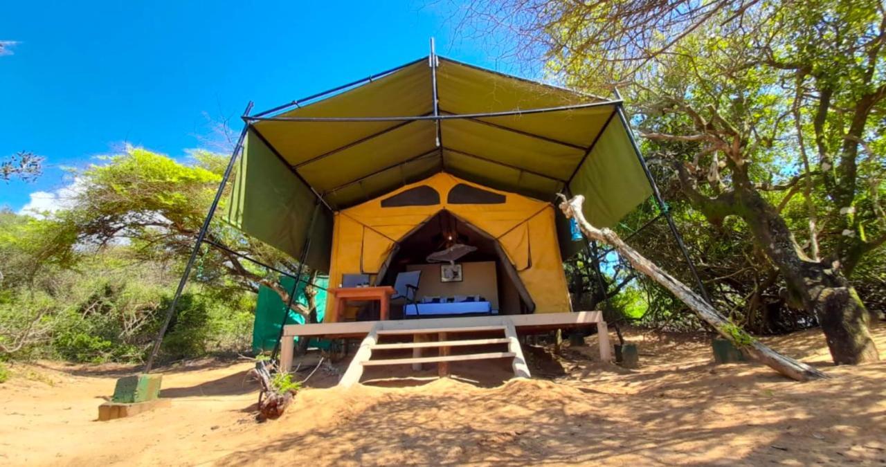 Back Of Beyond Dune Camp يالا المظهر الخارجي الصورة