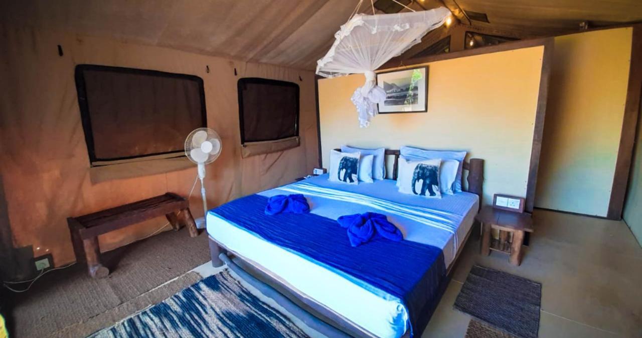 Back Of Beyond Dune Camp يالا المظهر الخارجي الصورة