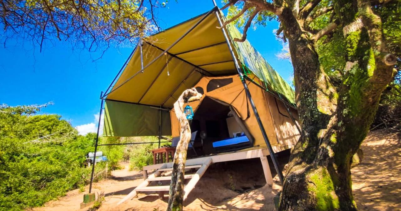 Back Of Beyond Dune Camp يالا المظهر الخارجي الصورة