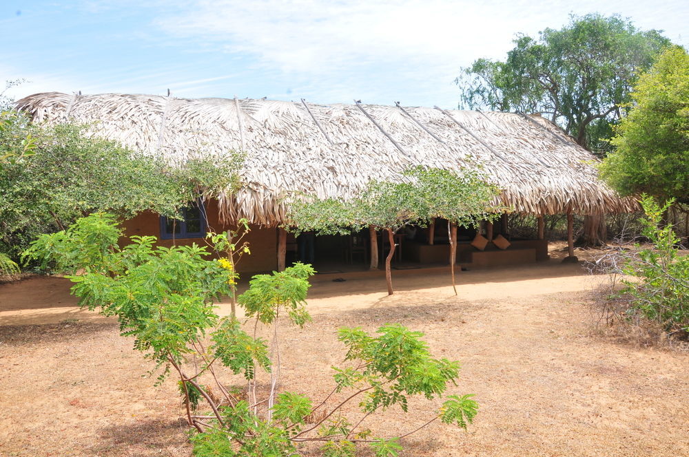 Back Of Beyond Dune Camp يالا المظهر الخارجي الصورة