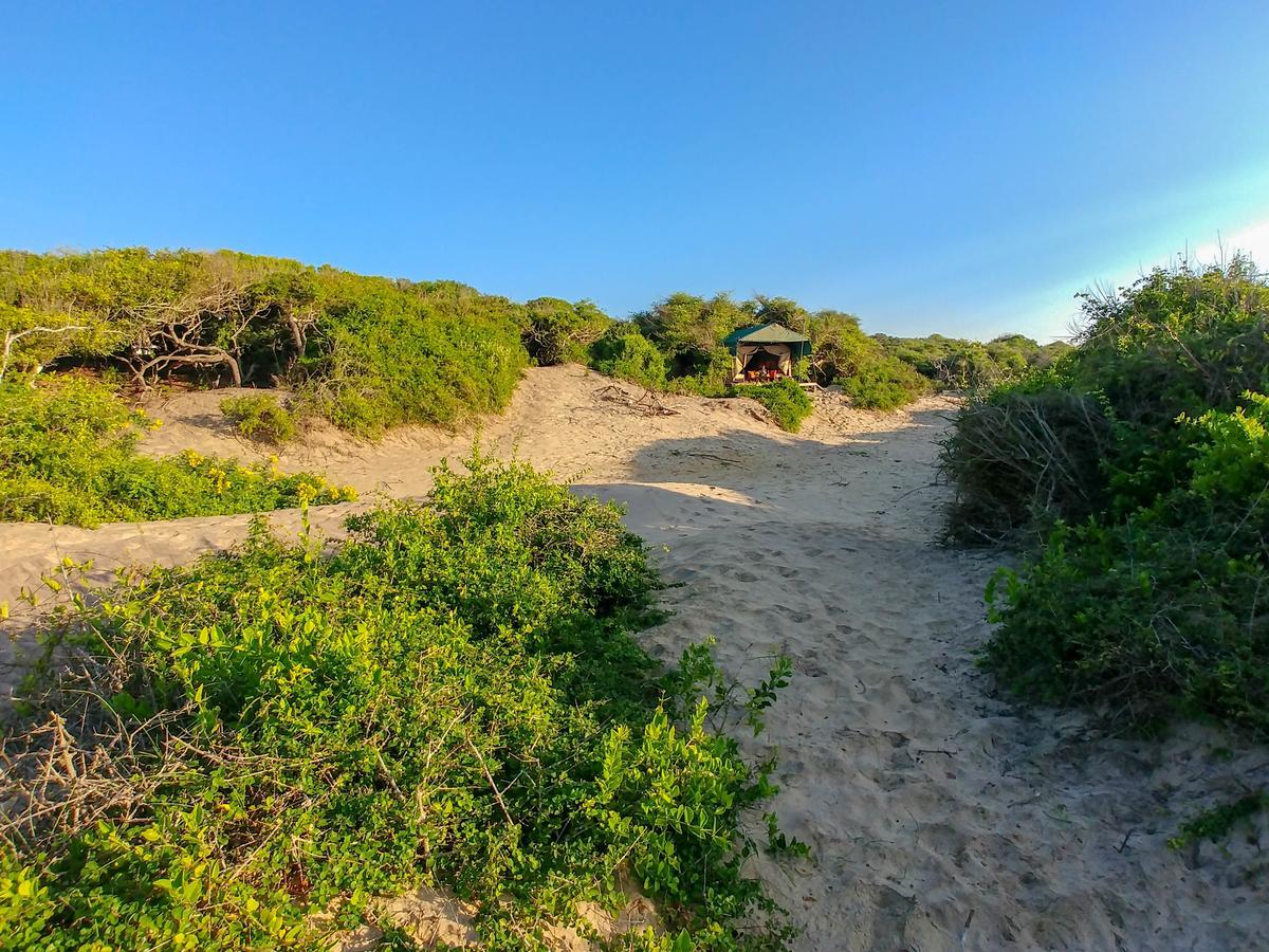 Back Of Beyond Dune Camp يالا المظهر الخارجي الصورة