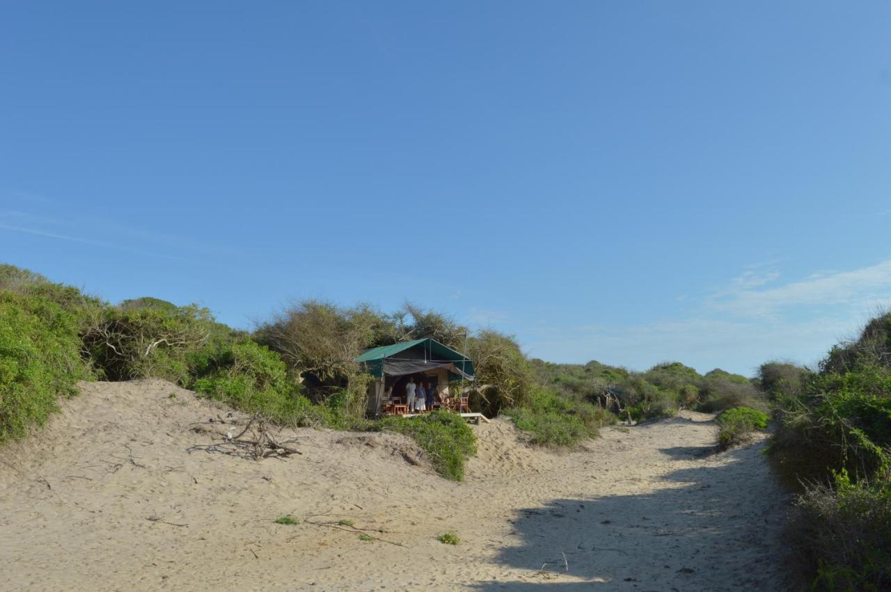 Back Of Beyond Dune Camp يالا المظهر الخارجي الصورة
